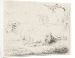 Lying sheep and ram by Pieter Gerardus van Os