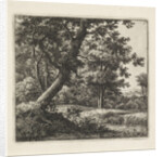 Overhanging tree by Anthonie Waterloo