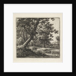 Overhanging tree by Anthonie Waterloo