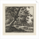 Overhanging tree by Anthonie Waterloo