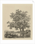 Two oaks on a small lake by Remigius Adrianus Haanen
