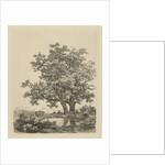 Two oaks on a small lake by Remigius Adrianus Haanen
