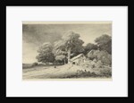 Farm on a road by Remigius Adrianus Haanen