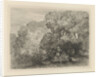A vase surrounded by bushes, right two large trees by Charles Rochussen