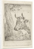 Cow at a willow fence, Aert Schouman by Paulus Potter