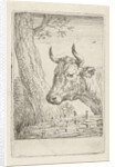 Cow at a willow fence, Aert Schouman by Paulus Potter