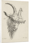Head of a goat by baron Reinierus Albertus Ludovicus van Isendoorn à Blois