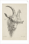 Head of a goat by baron Reinierus Albertus Ludovicus van Isendoorn à Blois