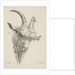 Head of a goat by baron Reinierus Albertus Ludovicus van Isendoorn à Blois
