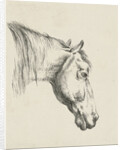 Head of a horse by Jan Kobell