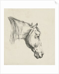 Head of a horse by Jan Kobell