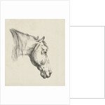 Head of a horse by Jan Kobell