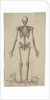 Male skeleton, seen from the front by Pieter Feddes van Harlingen
