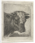 Head of a cow by Jacobus Cornelis Gaal