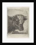 Head of a cow by Jacobus Cornelis Gaal