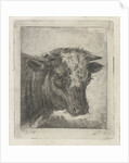 Head of a cow by Jacobus Cornelis Gaal