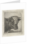 Head of a cow by Jacobus Cornelis Gaal