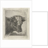 Head of a cow by Jacobus Cornelis Gaal