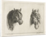 Two horse heads by Jacobus Cornelis Gaal