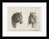 Two horse heads by Jacobus Cornelis Gaal