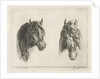Two horse heads by Jacobus Cornelis Gaal