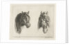 Two horse heads by Jacobus Cornelis Gaal