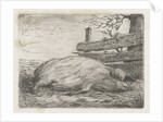Lying boar by Jacobus Cornelis Gaal