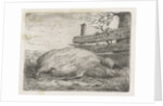Lying boar by Jacobus Cornelis Gaal