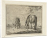 Two grazing horses by Jacobus Cornelis Gaal