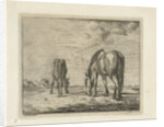 Two grazing horses by Jacobus Cornelis Gaal