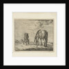Two grazing horses by Jacobus Cornelis Gaal