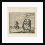 Two grazing horses by Jacobus Cornelis Gaal