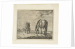 Two grazing horses by Jacobus Cornelis Gaal