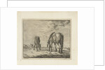 Two grazing horses by Jacobus Cornelis Gaal