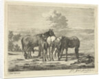 Four horses and two foals by Pieter Gaal