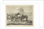 Four horses and two foals by Pieter Gaal