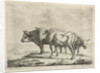 Three oxen by Jacobus Cornelis Gaal