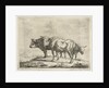 Three oxen by Jacobus Cornelis Gaal