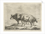 Three oxen by Jacobus Cornelis Gaal