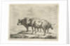 Three oxen by Jacobus Cornelis Gaal