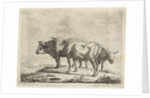 Three oxen by Jacobus Cornelis Gaal