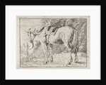 Saddled horse tied to a pole by Jacob van Strij