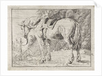 Saddled horse tied to a pole by Jacob van Strij
