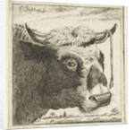 Cup bull rope hear by Cornelis Bisschop