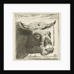 Cup bull rope hear by Cornelis Bisschop