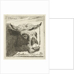 Cup bull rope hear by Cornelis Bisschop