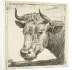 Cup cow by Cornelis Bisschop