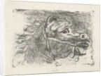 Head of a horse, right by Floris Croese