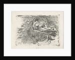 Head of a horse, right by Floris Croese