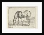 grazing horse left by Jan Dasveldt
